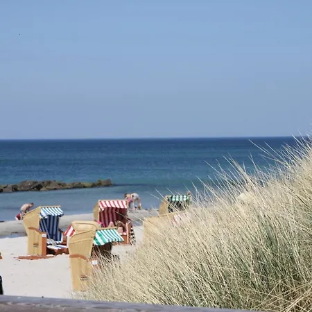Am Horizont No 1 Fuer 2-4 Pers, 2 Schlafz, Suedbalkon, Kamin, Parkplatz, Strandnah 500 Meter Zingst Exterior photo